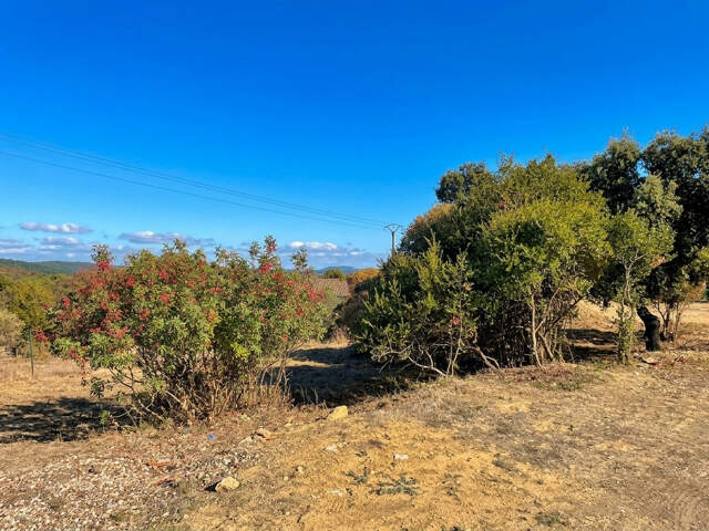 Terrain à batir 1004 m2 / Saint-Martin-de-Valgualgues — photo du bien