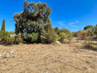 Terrain à batir 1004 m2 / Saint-Martin-de-Valgualgues — photo 4