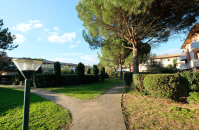 Appartement Fonsorbes 2 pièce(s) 46.14 m2 - Meublé — photo du bien