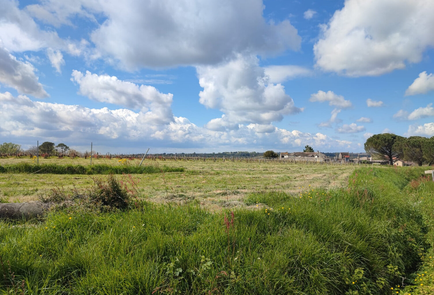 Terrain à bâtir à Romagne (33760) — photo 1