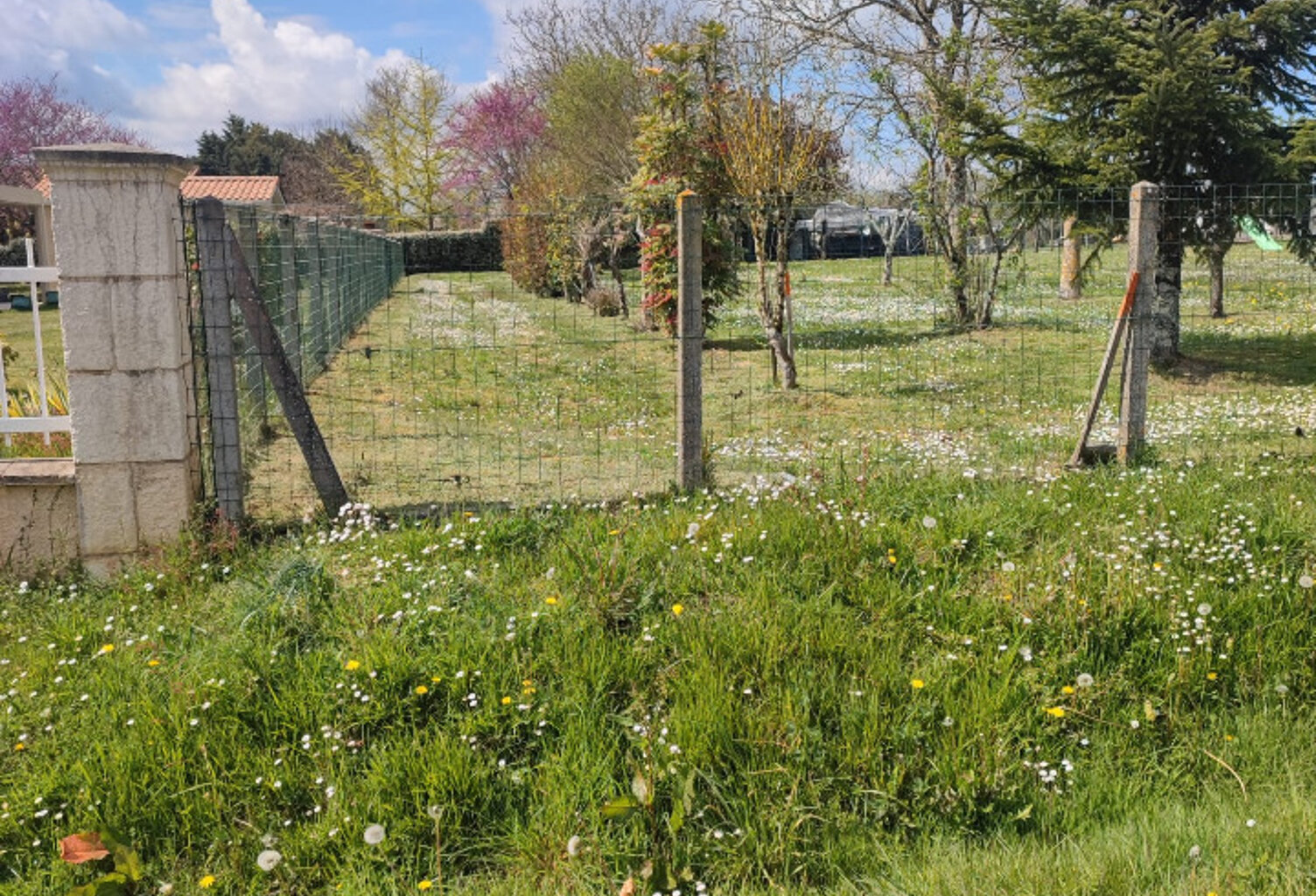 Terrain à bâtir à Arveyres (33500) — photo 1