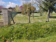 Maison à construire à Arveyres (33500) — photo 2
