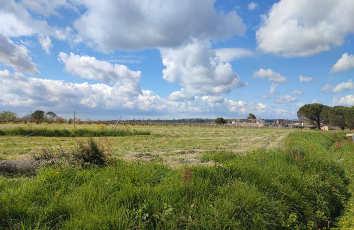 Maison à construire à Romagne (33760) — photo 4