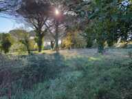 Maison à construire à Saint-Maixant (33490) — photo 2
