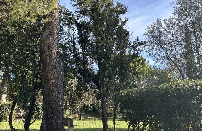 La maison est belle. Le terrain est exceptionnel. — photo 2