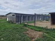 MAISON 137m2 + DÉPENDANCES + ÉLEVAGE CANIN SUR 5,7 HA DE TERRAIN Proche de AIRE SUR L'ADOUR (40) — photo 3