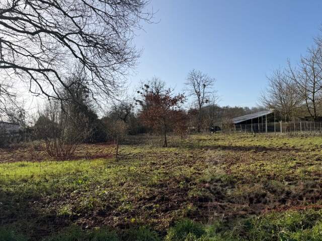 Terrain à bâtir à Villandraut (33730) — photo du bien