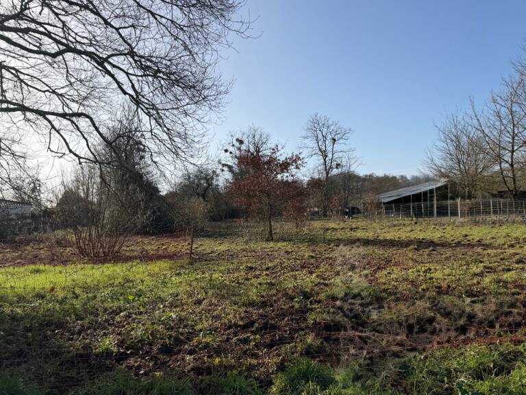 Terrain à bâtir à Villandraut (33730) — photo 1