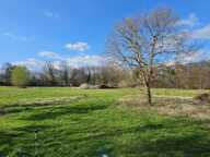 Propriete à vendre sur 2 ha à  PUY GUILLAUME (63) — photo 3