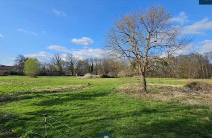 Propriete à vendre sur 2 ha à  PUY GUILLAUME (63) — photo 3