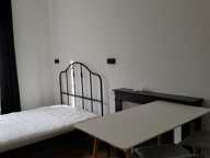 Appartement de 39m2 à louer sur Grenoble — photo 4