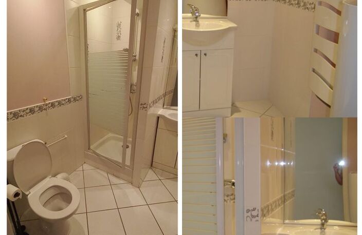 Appartement de 31m2 à louer sur Châtillon-Coligny — photo 4
