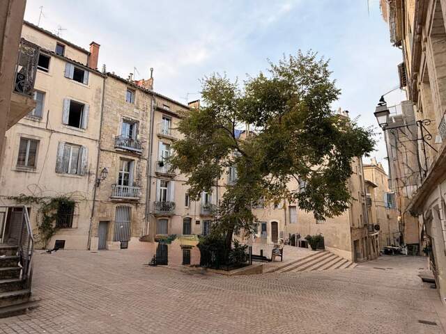 Appartement À Louer — photo du bien