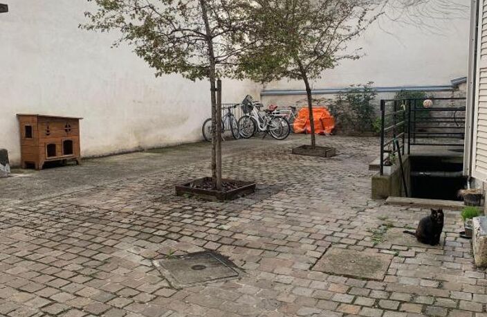 ✨ Orléans – Appartement T2 de 32,58 m² à deux pas du centre-ville !   — photo 5