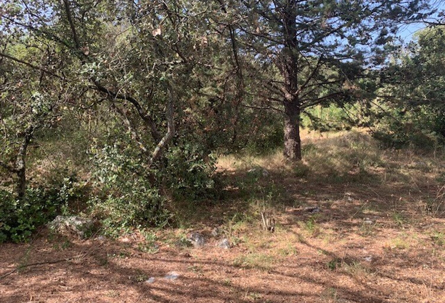 Vente terrain à construire 2120 m² Saint-Maximin-la-Sainte-Baume (83470) — photo 1