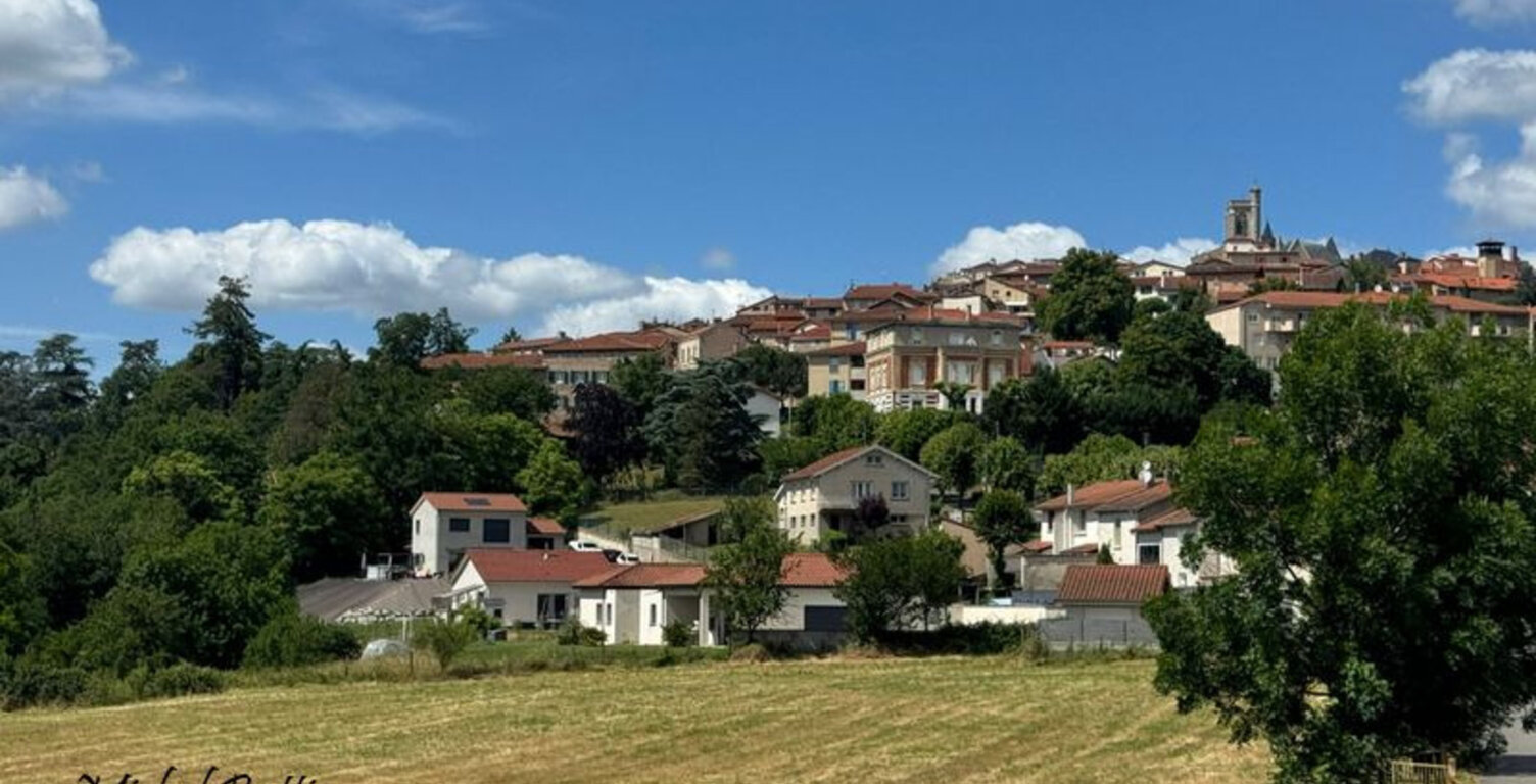 PROPRIÉTÉ DE CARACTÈRE AU CŒUR DE SAINT-GALMIER — photo 1