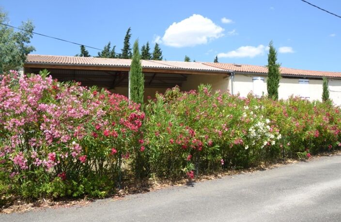 Maison de campagne de caractère – 186 m² – Piscine chauffée – Dépendances — photo 5