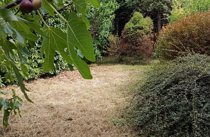 Terrain de 164 m² – Projet R+2 – À 5 min du métro ligne 11 — photo 3