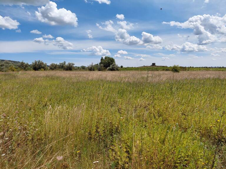Terrain de 6 640m2 avec chênes truffiers — photo 1
