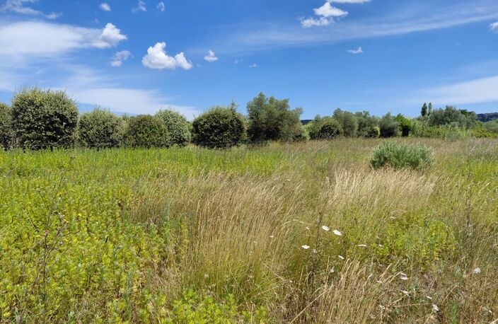 Terrain de 6 640m2 avec chênes truffiers — photo 2