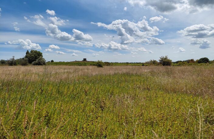 Terrain de 6 640m2 avec chênes truffiers — photo 3