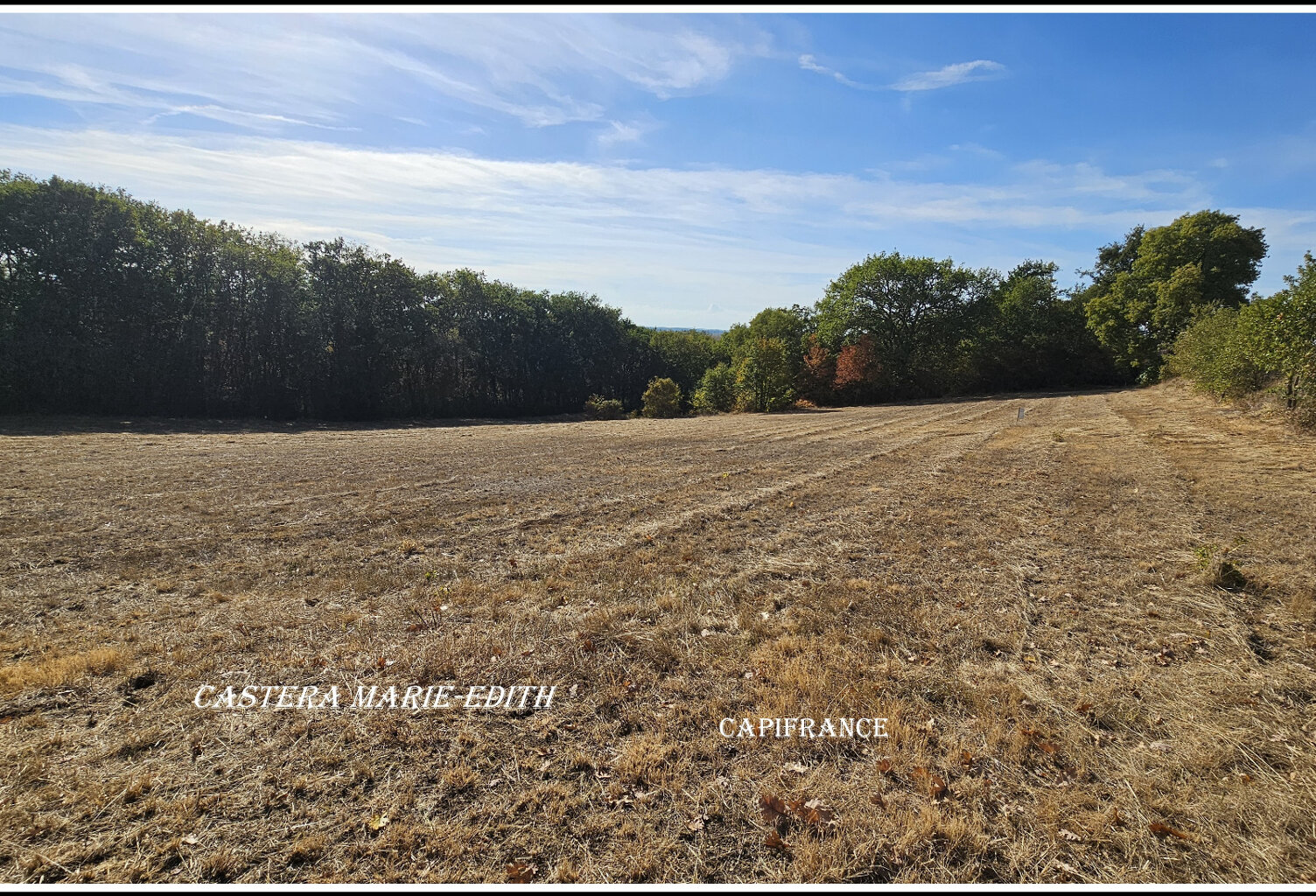 EXCLUSIVITÉ – TERRAIN VIABILISÉ DE 2238 M² À BIRAN (32) -BELLE EXPOSITION SUD — photo 1