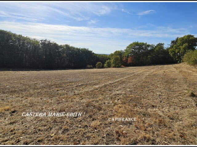 EXCLUSIVITÉ – TERRAIN VIABILISÉ DE 2238 M² À BIRAN (32) -BELLE EXPOSITION SUD — photo du bien