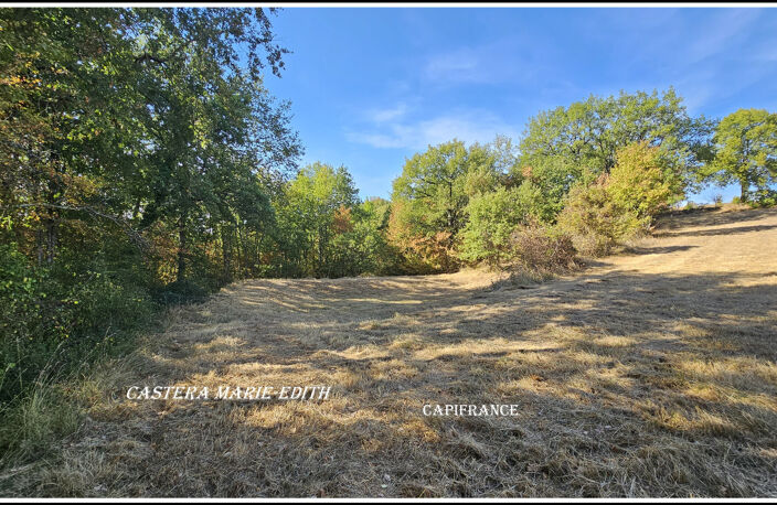 EXCLUSIVITÉ – TERRAIN VIABILISÉ DE 2238 M² À BIRAN (32) -BELLE EXPOSITION SUD — photo 4