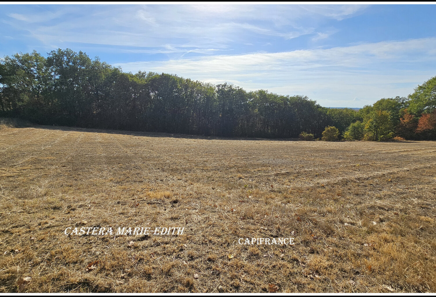 EXCLUSIVITÉ – TERRAIN AVEC BOIS DE 5076 M²- VIABILISÉ - À BIRAN – BELLE EXPOSITION SUD — photo 1