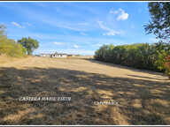 EXCLUSIVITÉ – TERRAIN AVEC BOIS DE 5076 M²- VIABILISÉ - À BIRAN – BELLE EXPOSITION SUD — photo 2