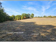 EXCLUSIVITÉ – TERRAIN AVEC BOIS DE 5076 M²- VIABILISÉ - À BIRAN – BELLE EXPOSITION SUD — photo 4