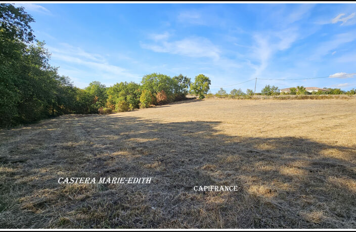 EXCLUSIVITÉ – TERRAIN AVEC BOIS DE 5076 M²- VIABILISÉ - À BIRAN – BELLE EXPOSITION SUD — photo 4