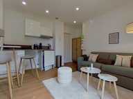 111 rue Jean Vallier Lyon 69007  - T1 Meublé - 640 €CC — photo 4