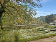Ancien restaurant avec vue panoramique sur la Dordogne, 15700 Pleaux — photo 2
