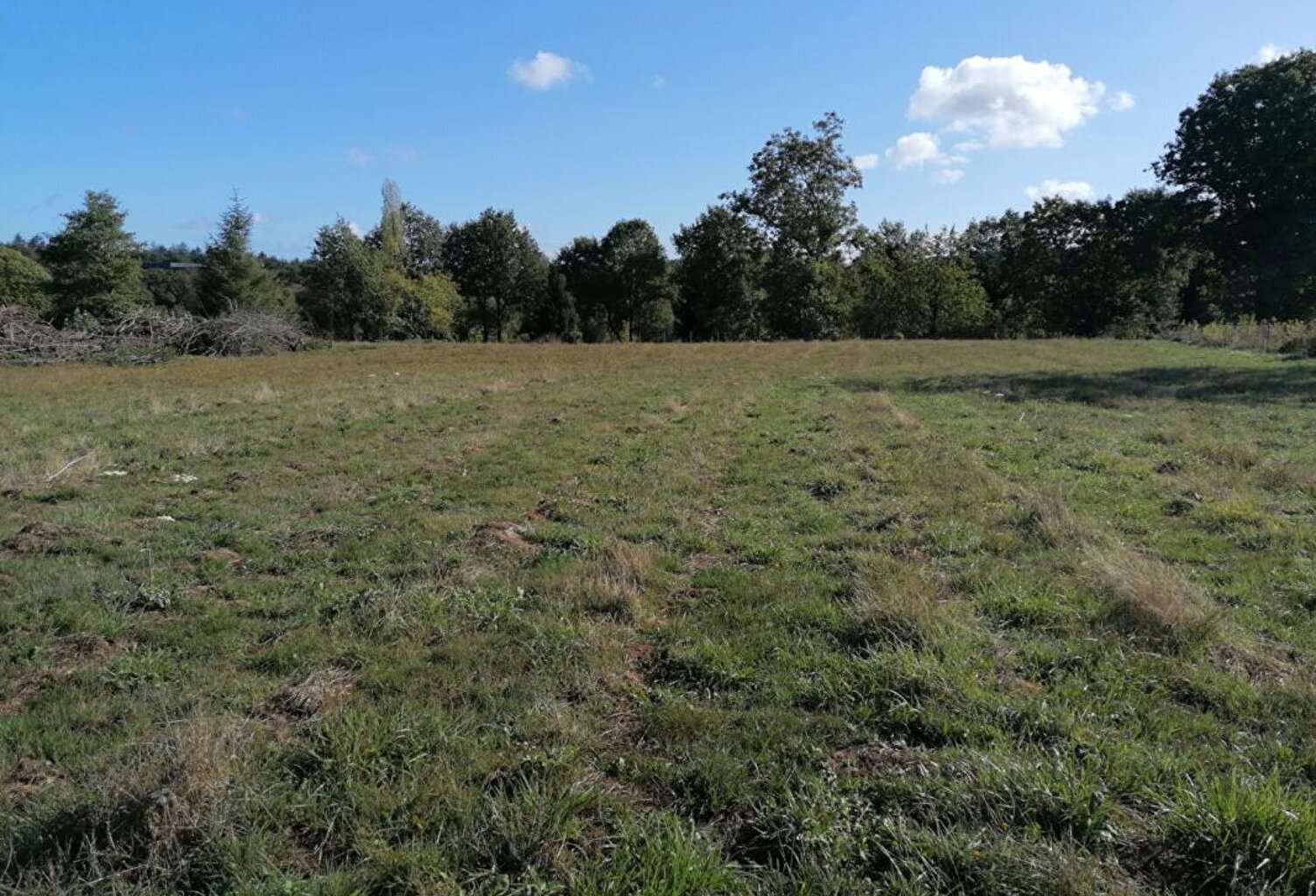 Ploërmel . Terrain exceptionnel de 4 000 m² avec 700 m² constructibles — photo 1