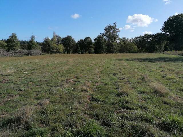 Ploërmel . Terrain exceptionnel de 4 000 m² avec 700 m² constructibles — photo du bien