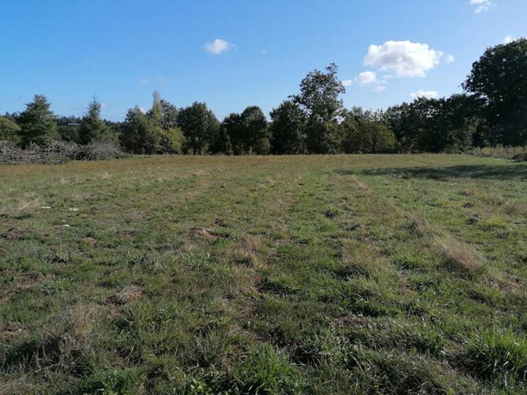 Ploërmel . Terrain exceptionnel de 4 000 m² avec 700 m² constructibles — photo 1