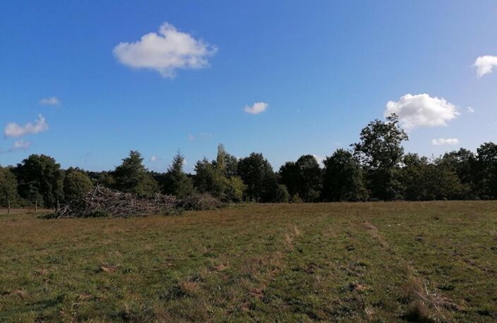 Ploërmel . Terrain exceptionnel de 4 000 m² avec 700 m² constructibles — photo 4