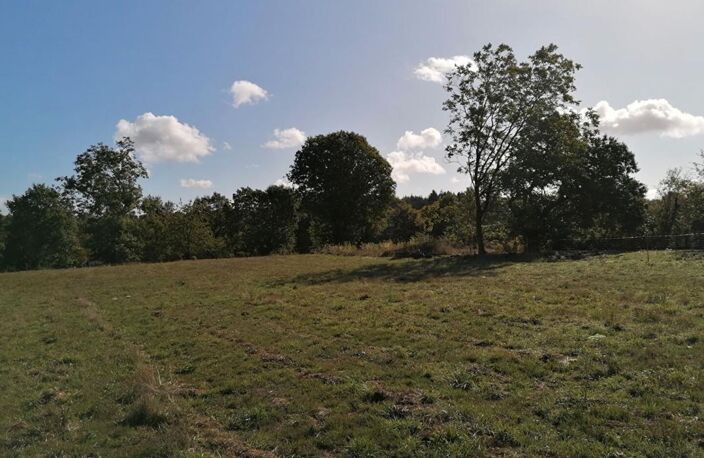 Ploërmel . Terrain exceptionnel de 4 000 m² avec 700 m² constructibles — photo 5