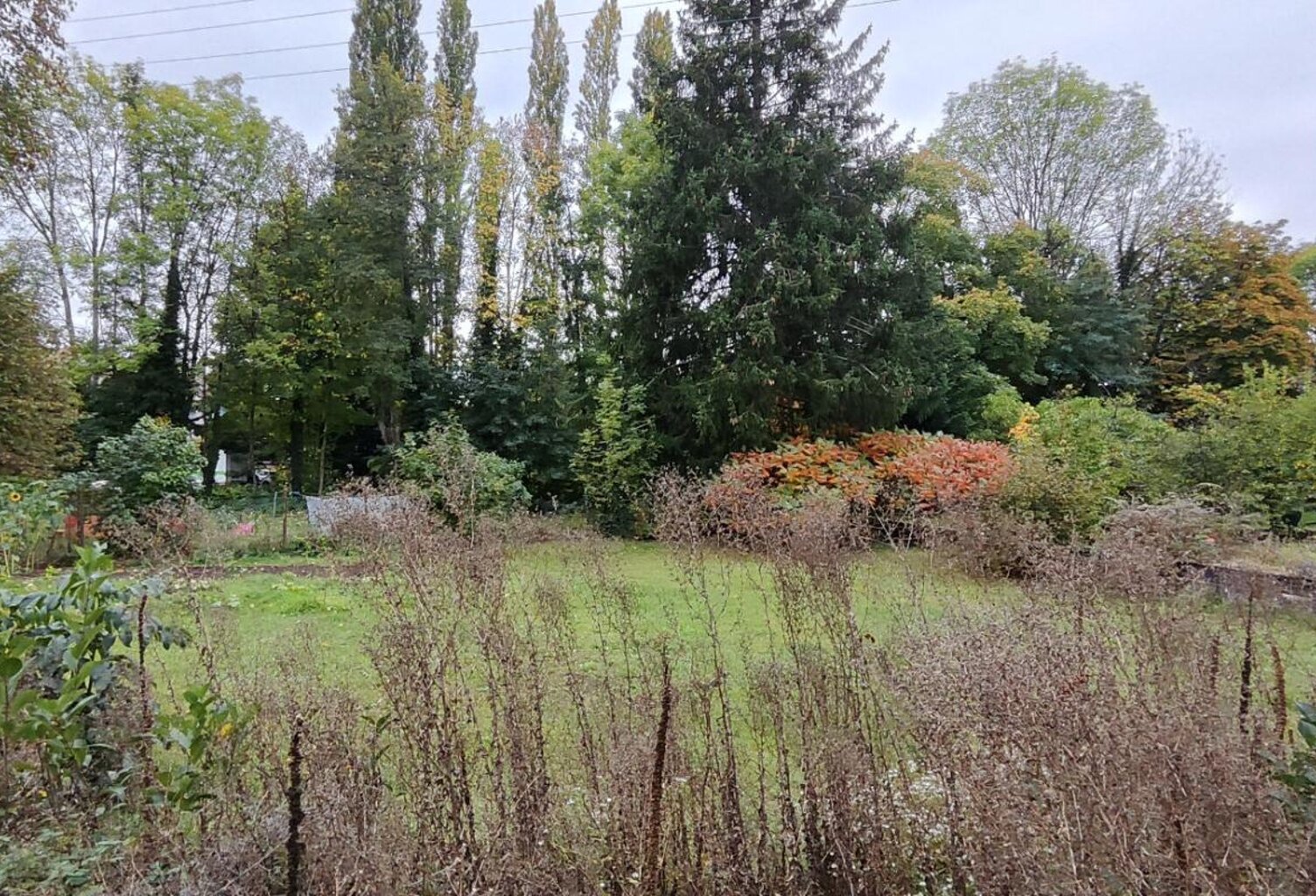 Valdoie 90300 : Beau terrain constructible 1206 m² — photo 1