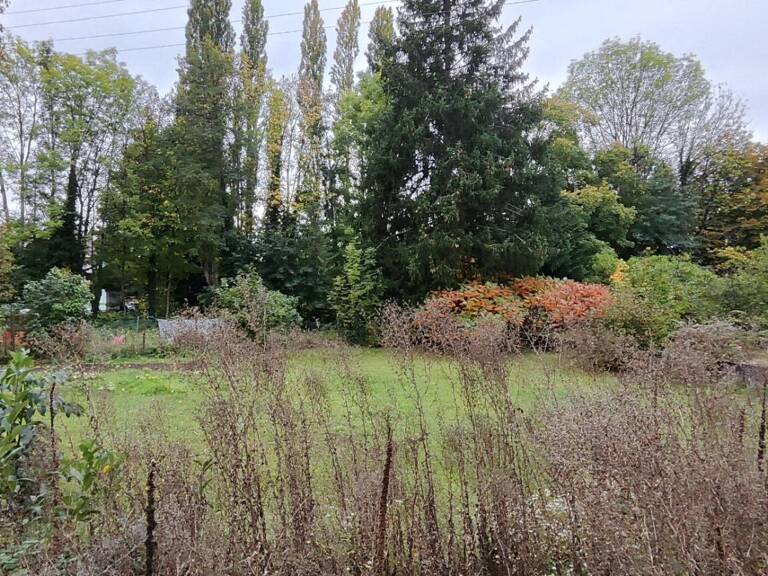 Valdoie 90300 : Beau terrain constructible 1206 m² — photo 1