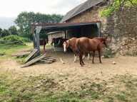 Propriete equestre à Jumilhac Le Grand — photo 3