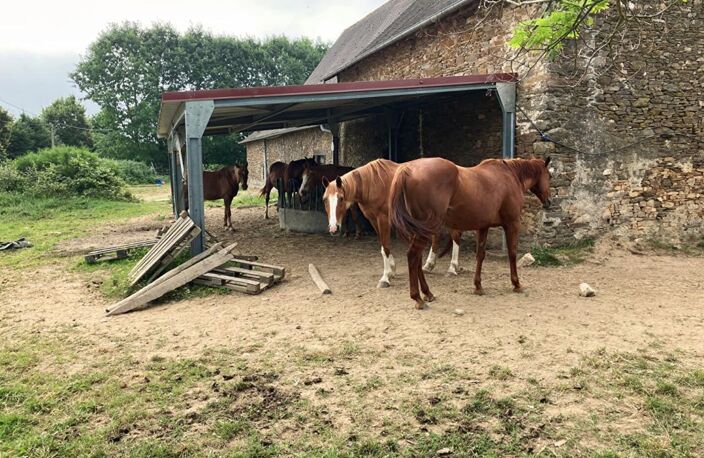 Propriete equestre à Jumilhac Le Grand — photo 3