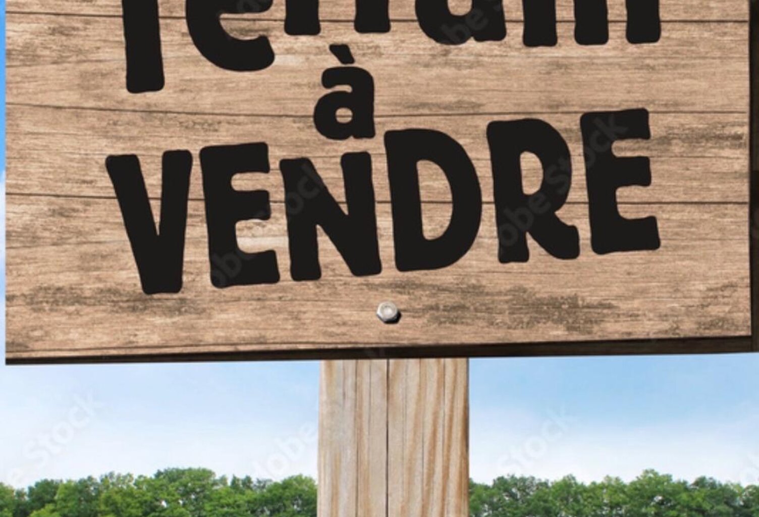 Secteur résidentiel calme. — photo 1