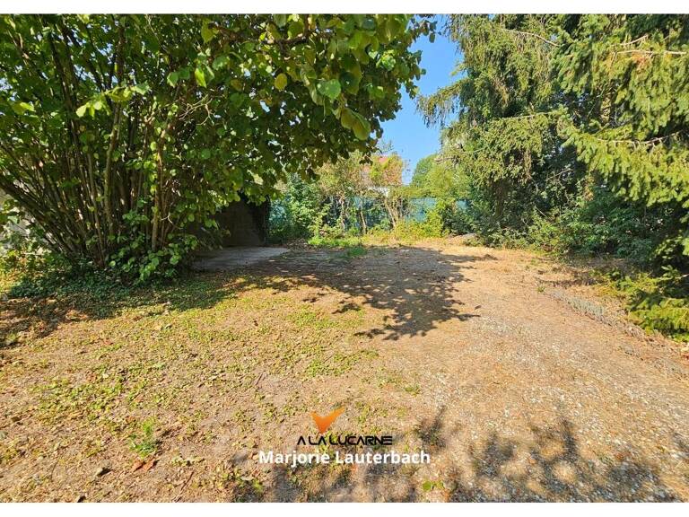Terrain — photo 1