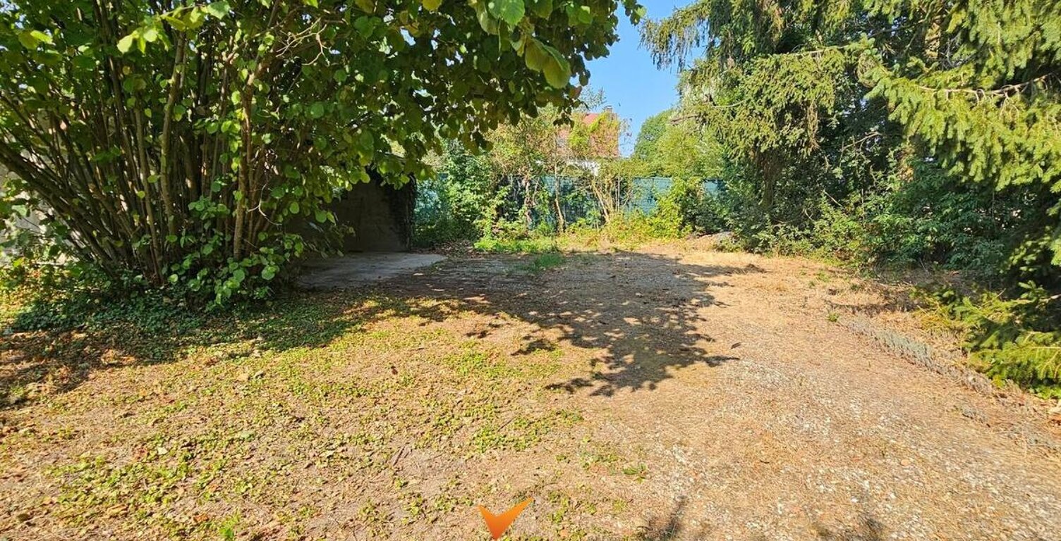 Terrain — photo 1
