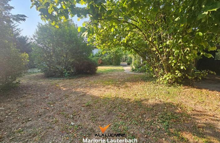 Terrain — photo 2