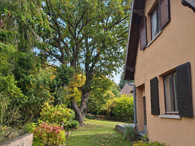 Maison proposé à Buhl