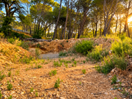 Vente Terrain à bâtir 827 m&sup2; — photo 3