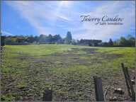 Beau terrain de 1100 m² sans ABF. — photo 4